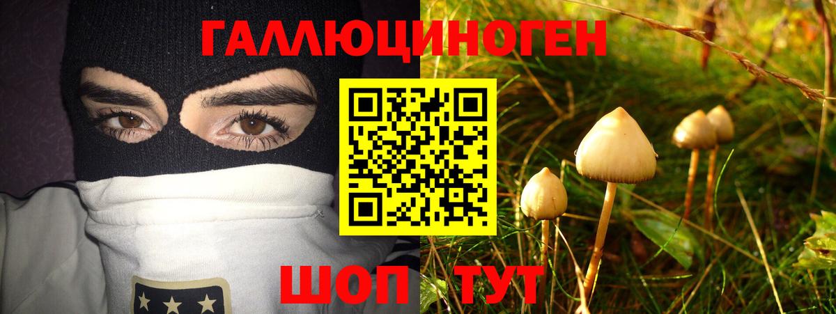 Галлюциногенные грибы ЛСД  Вход с VPN  Гай 