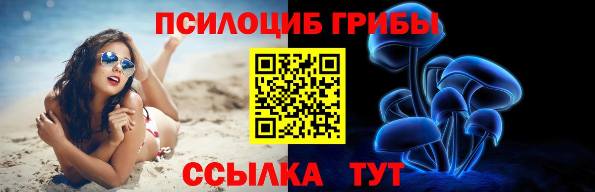 Галлюциногенные грибы мицелий Гай